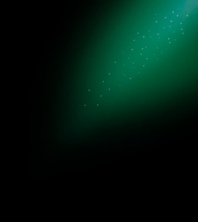 Vector